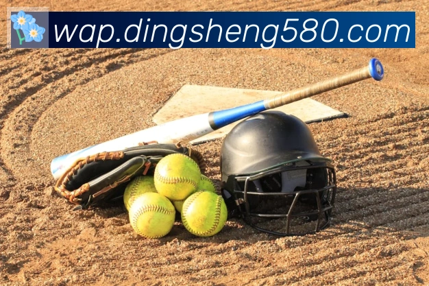 华体网页版登录入口发展历程