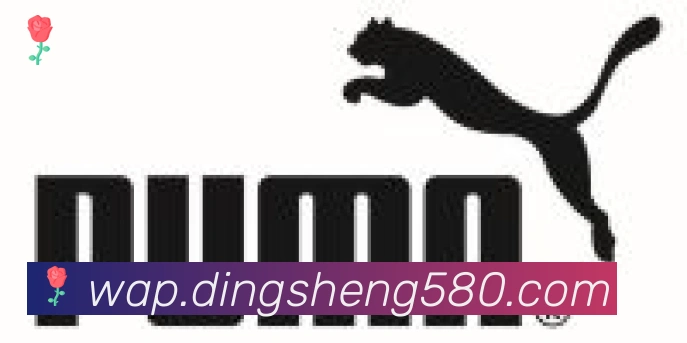 华体网页版登录入口合作伙伴