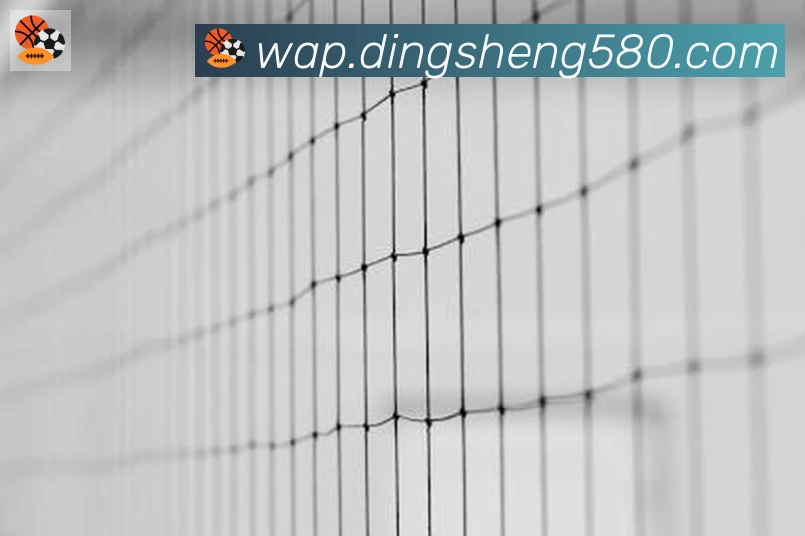 体育App 体育App